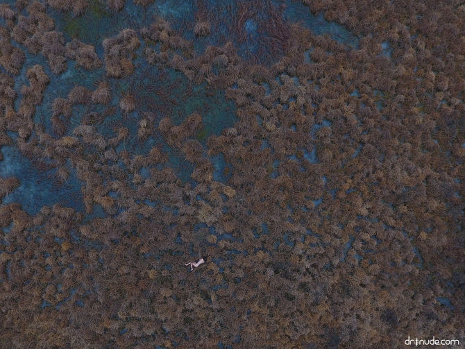SVL and A. in the peat moor