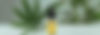 freepik-export-20240922224639W9zt.jpeg