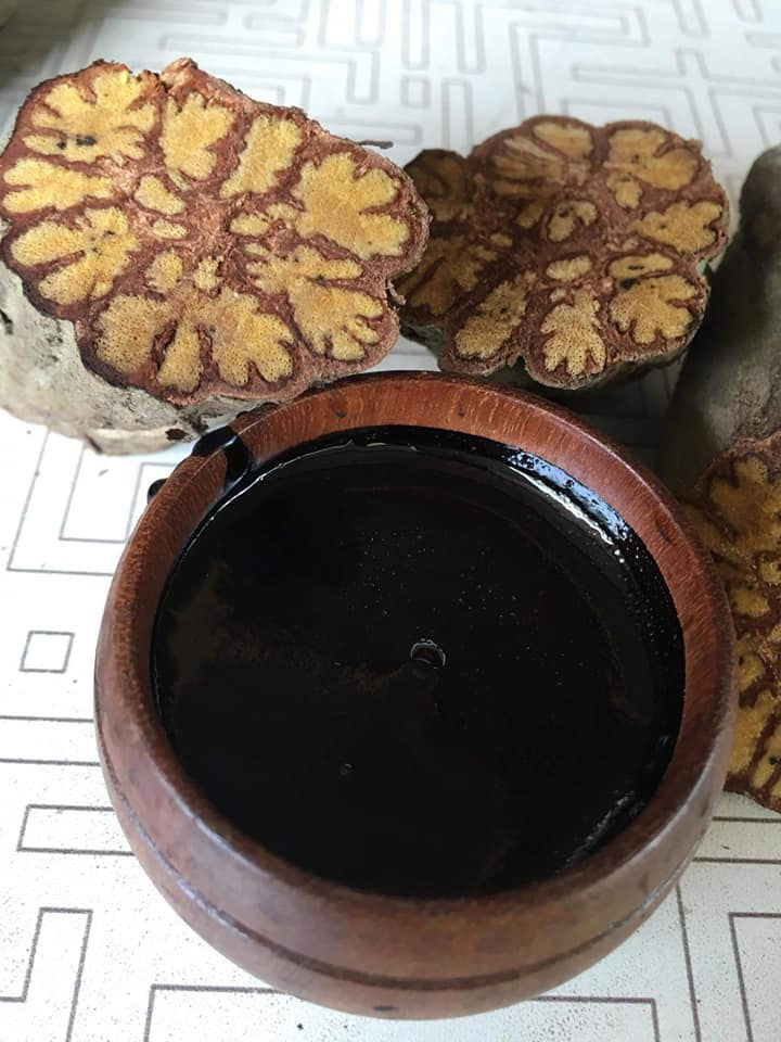 62308309_413958049189822_158956371546262