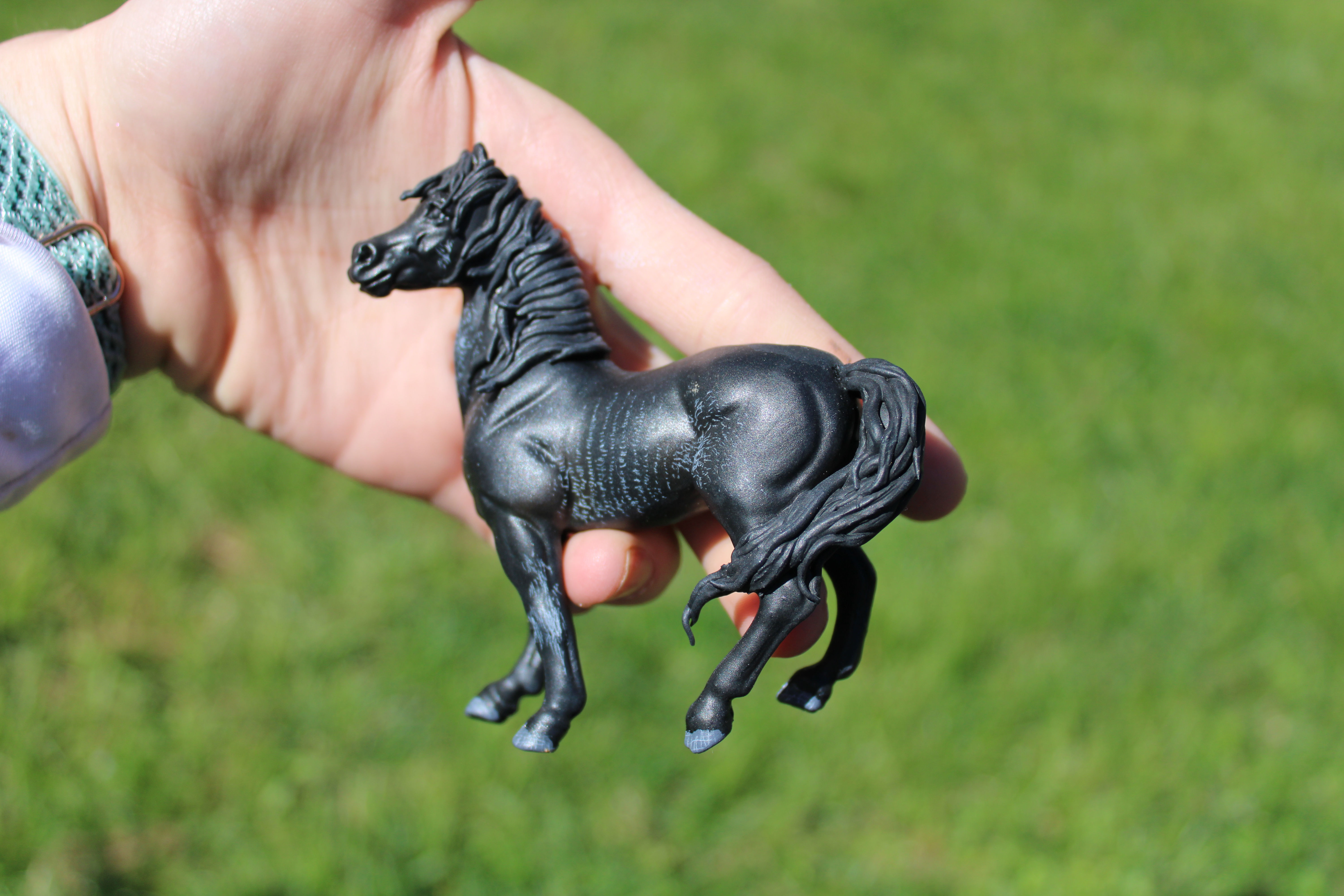 Extreme Custom - Arabian Mare