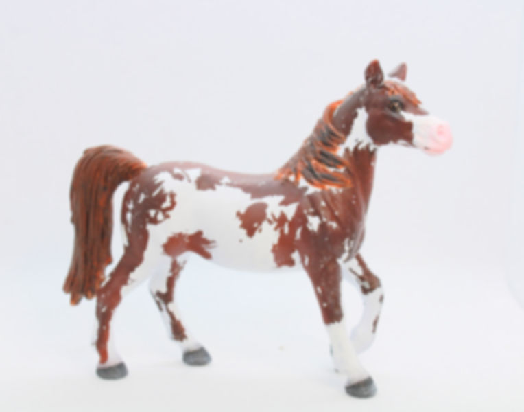 Chestnut Frame Overo