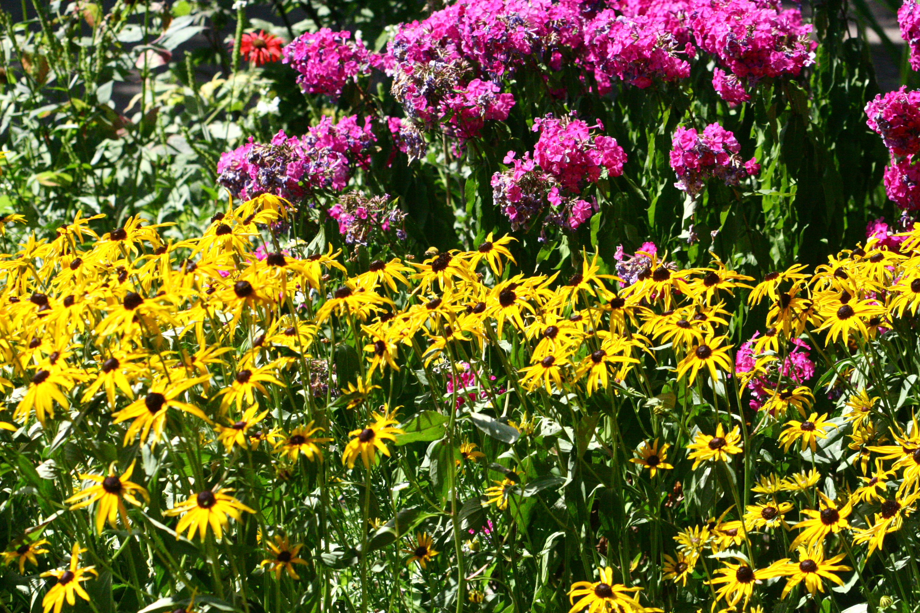 À Fleur de Fleuve bedflowers