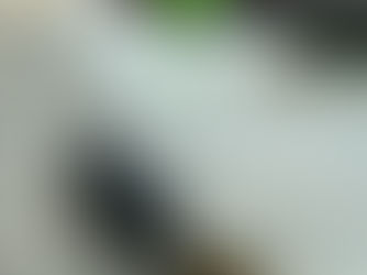 The Silent Shores: Rediscovering Samui’s Hidden Soul