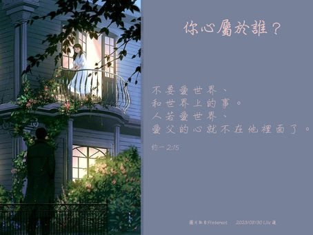 你心屬於誰 圖片