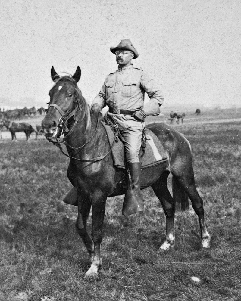 Col. Theodore Roosevelt of the "Rough Riders"