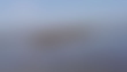 2021/4/30 潮干狩りに