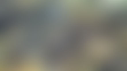 2020/９月/ 北風に変わってきて