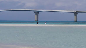 令和５年４月の最初の天気の良い日