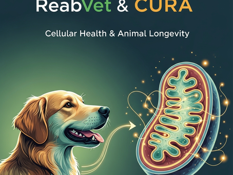 A Chave da Longevidade do seu Pet Está nas Mitocôndrias: Desvende o Segredo da Saúde Animal.