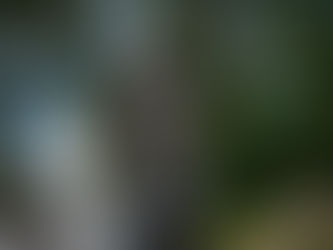 Dalia Romero y una mirada histórica sobre la escultura Taragüí y su marca en la identidad correntina