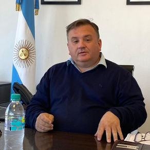 Barros Perkins: "Corrientes tiene en madera un 'Vaca Muerta' para desarrollarse"