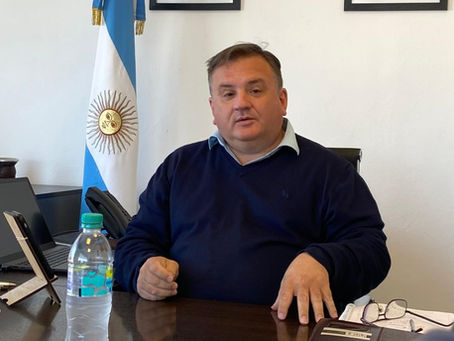 Barros Perkins: "Corrientes tiene en madera un 'Vaca Muerta' para desarrollarse"