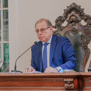 Sesión 11: Diputados solicita incorporar el Corredor Belgrano a la Licitación Nacional