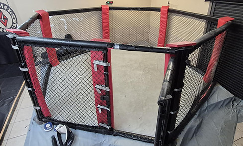 Institute of Human Combat, MMA Cage, octagon, team phoenix, combat fitness