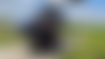 Helicopter Sightseeing Tour of London