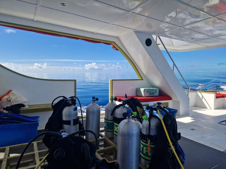 Scuba Diving in Maldives