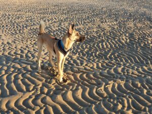 Sunset at Well Beach