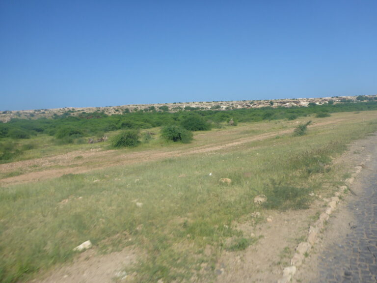 Cape Verde