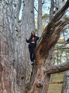A giant tree, perfect for climbing