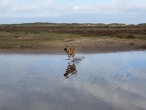 Holkham National Nature Reserve