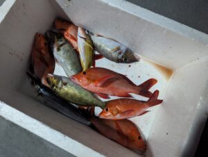 Sunset fishing and sandbank BBQ