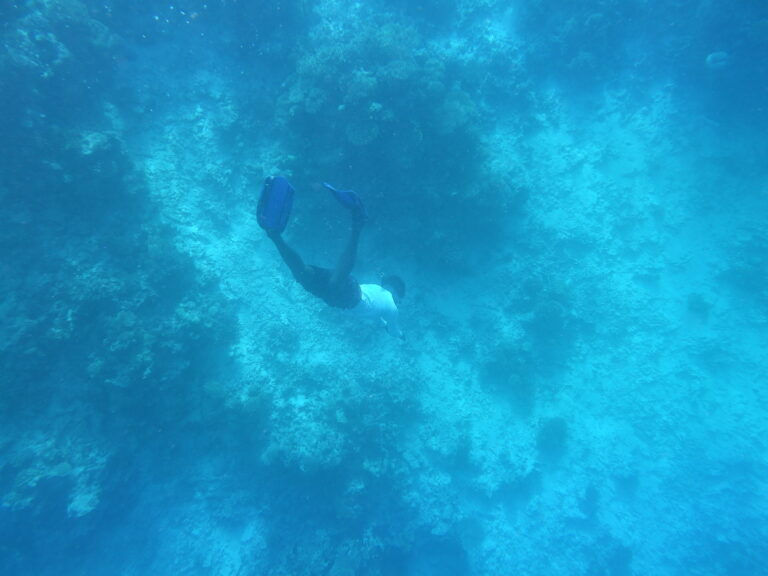 Snorkelling in Maldives