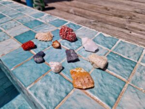 Colourful Corals