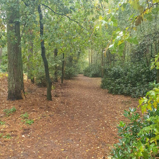 Sandringham Country Park
