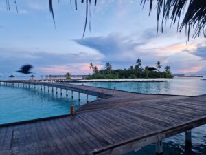 Sunrise fishing trip in Maldives
