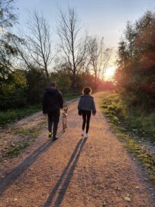Walking through the woodlands at sunset