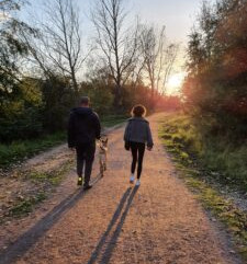 Walking through the woodlands at sunset