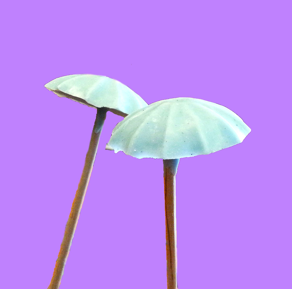 Baby Shower Umbrella Chocolates