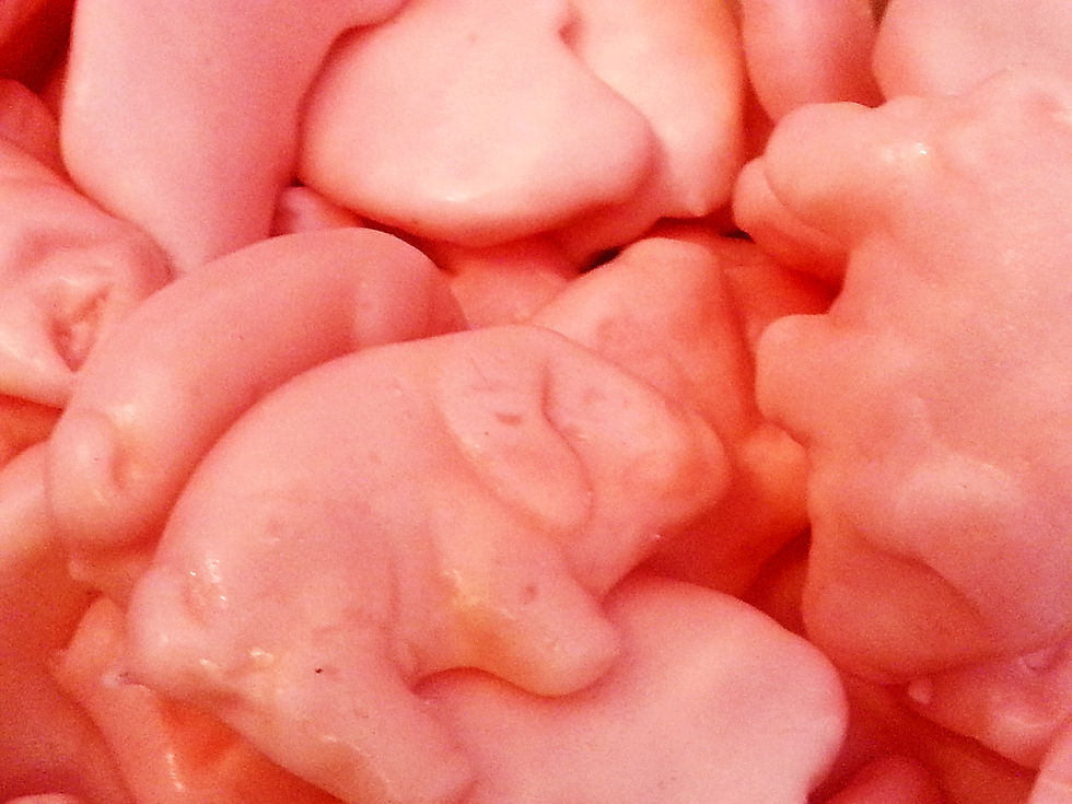 Gummy Pigs