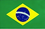 Brazil flag.png
