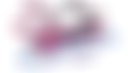 Alexei Navalny's Last Stand