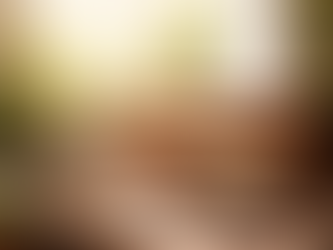 Remembering the importance of furniture refinishing this Earth Day