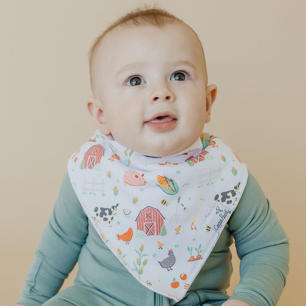 Thumbnail: Bandana Bibs