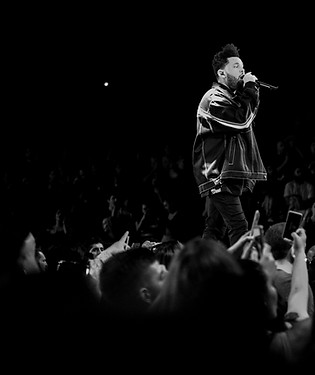 Legend Of The Fall - Concerts - The Week