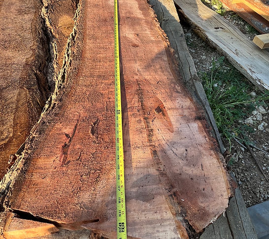 Live edge wood slab with a tape measure