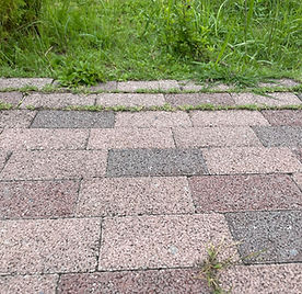 Close up of red and brown paving stones with greenery in the background.