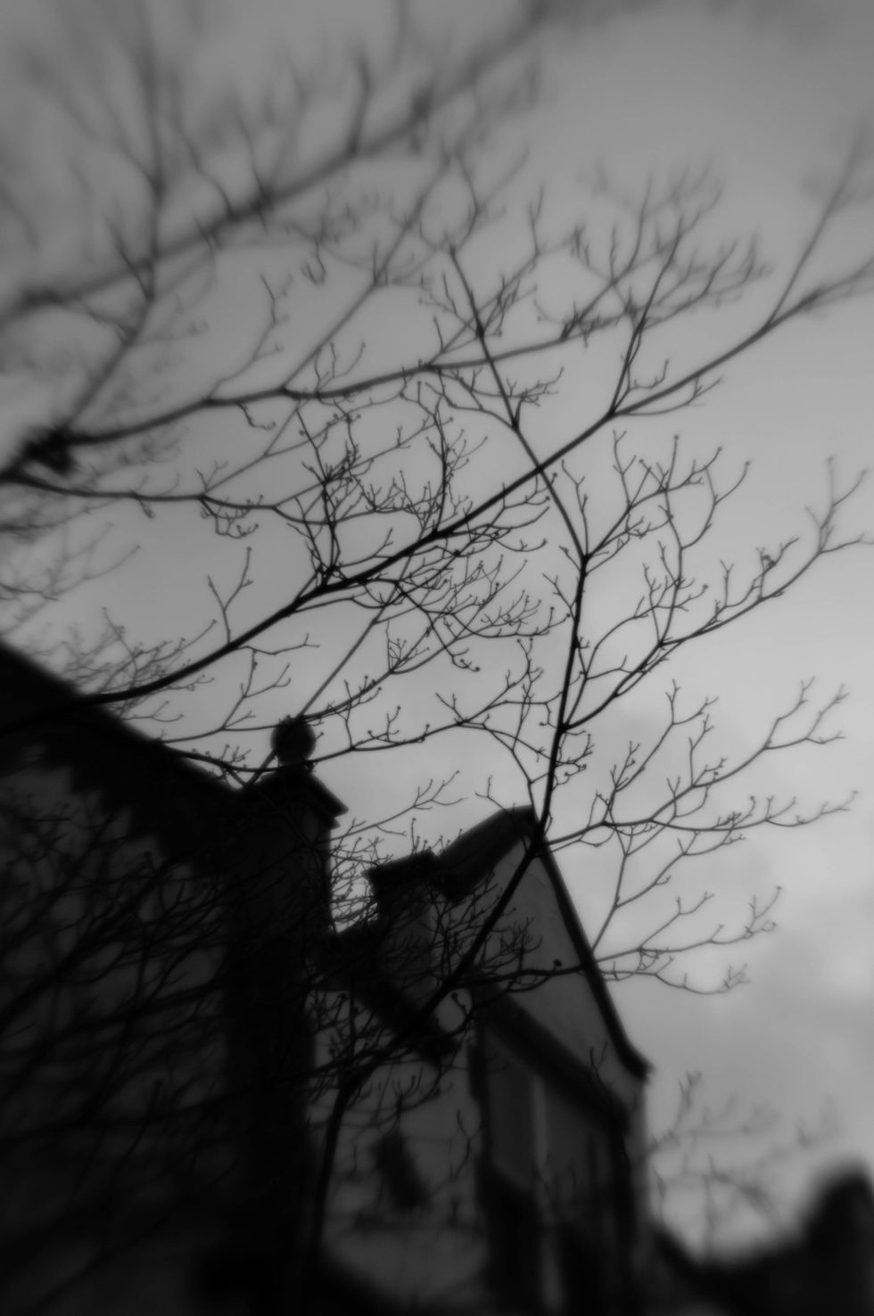 Haunted