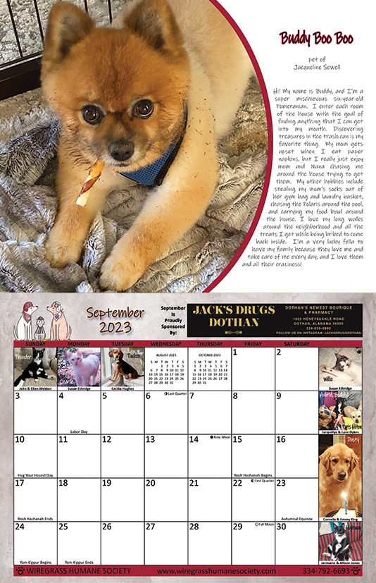 2023 CALENDARS FOR SALE | wiregrasshumane