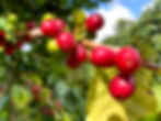 IMG_3168.jpeg