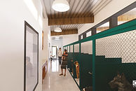 CVHS Adoption Dogs 3 (1)_edited.jpg