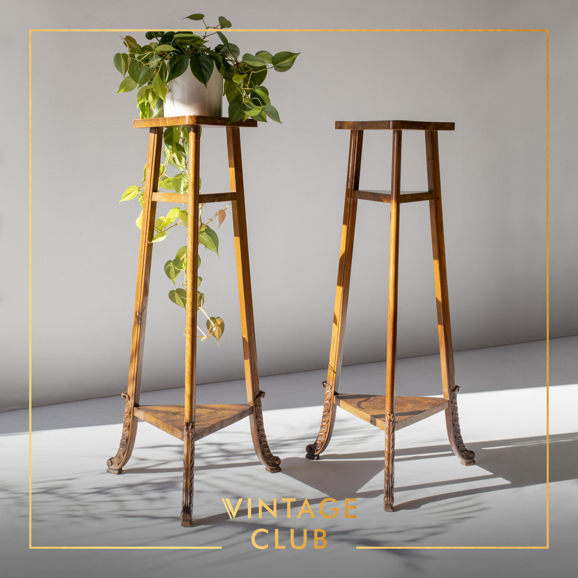 Pair of tall Antique English inspired plant stands