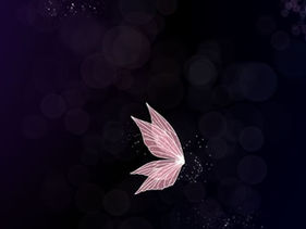 Die zarte Fee und das Wunder. Ein erster Schritt zur Identifikation deiner Ziele.