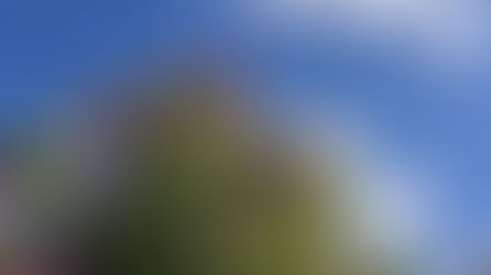 12von12 — Im Blog Flow & c'est magnifique April 2026.