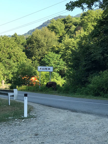 4. Аул Калеж.