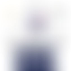 Common Data Environment (CDE)