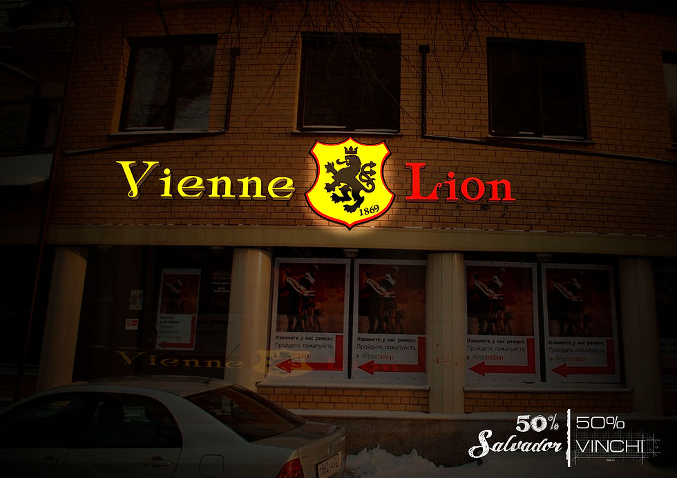 Vienne_night_vision
